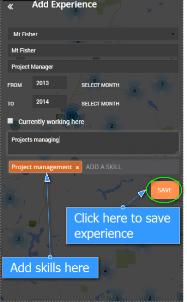 experience_skills_save