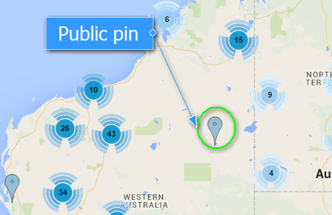 public_pin